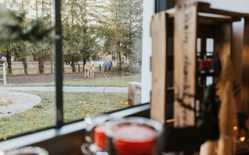 Hof-Staendle_Heidrun-Karl-8